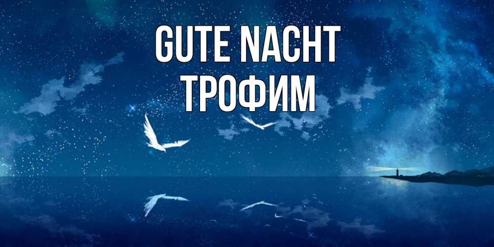 Открытка на каждый день с именем, Трофим Gute Nacht птицы летят на фоне ночного неба Прикольная открытка с пожеланием онлайн скачать бесплатно 