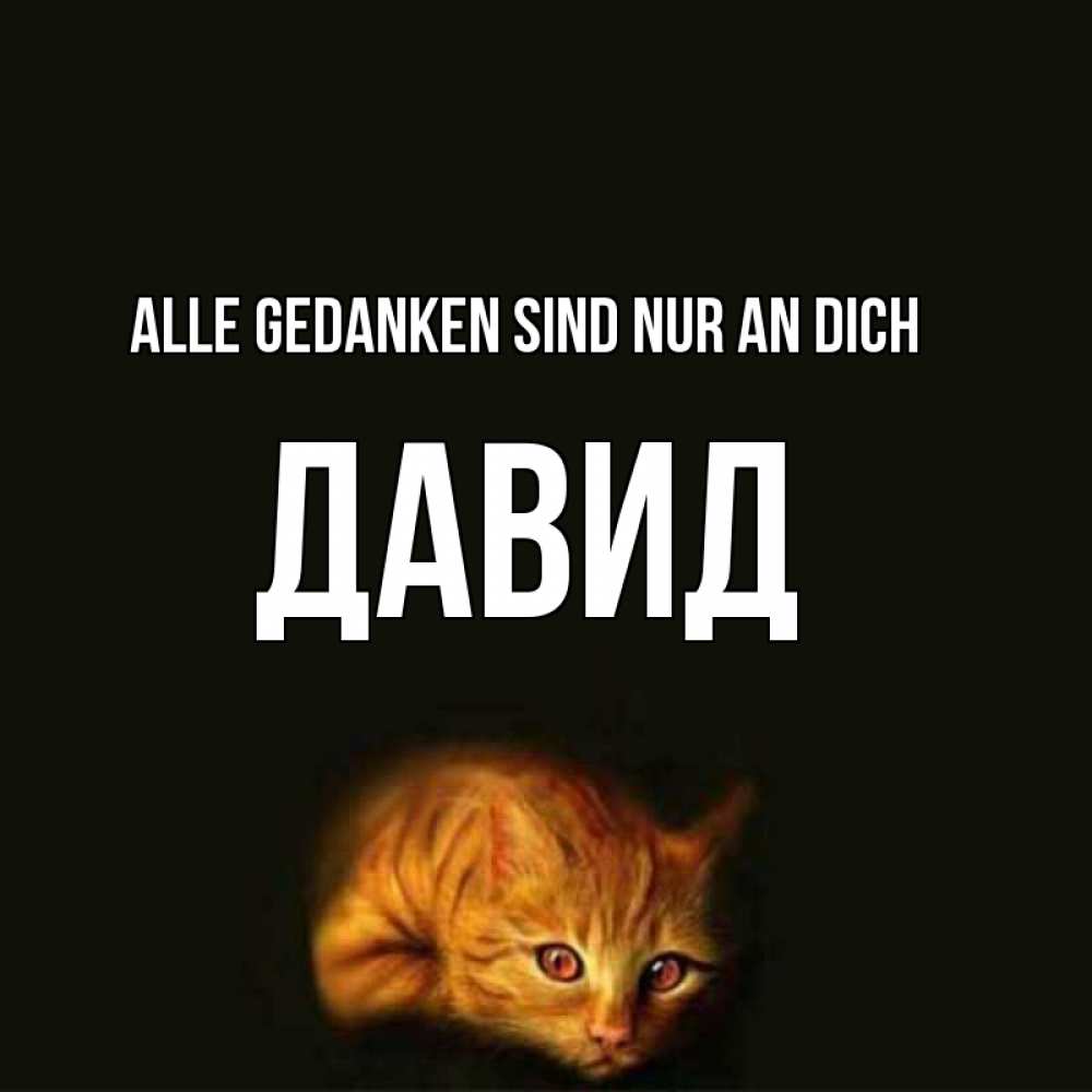 Открытка на каждый день с именем, Давид Alle Gedanken sind nur an dich рыжий Прикольная открытка с пожеланием онлайн скачать бесплатно 