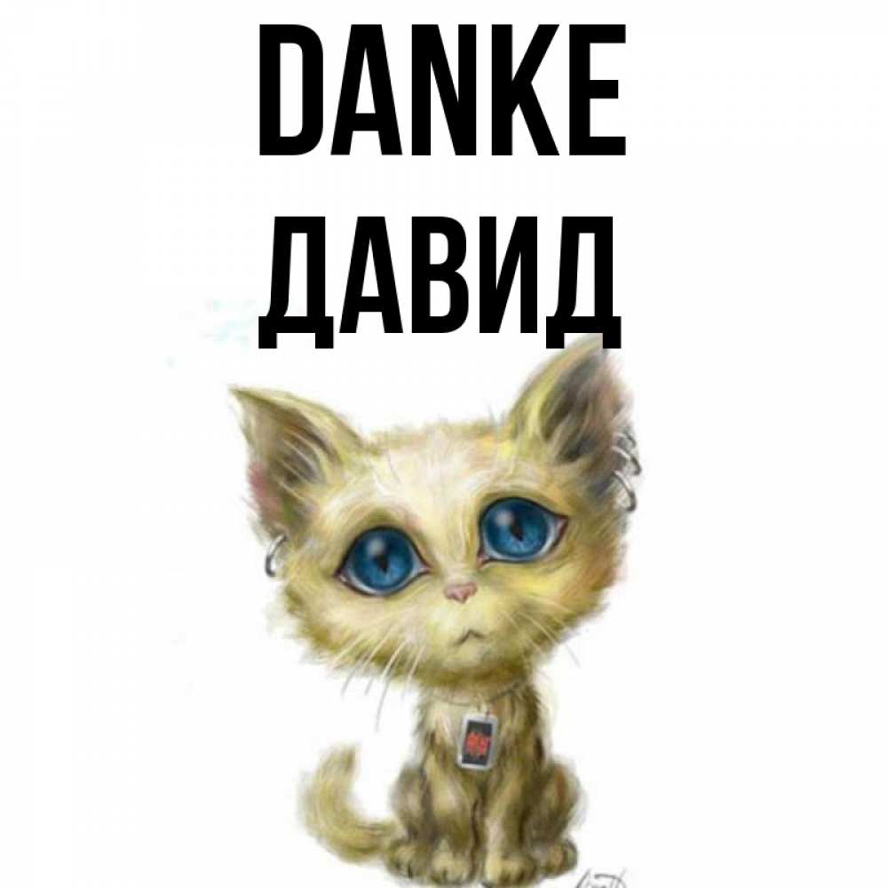 Открытка на каждый день с именем, Давид Danke рисованный кот благодарит вас Прикольная открытка с пожеланием онлайн скачать бесплатно 