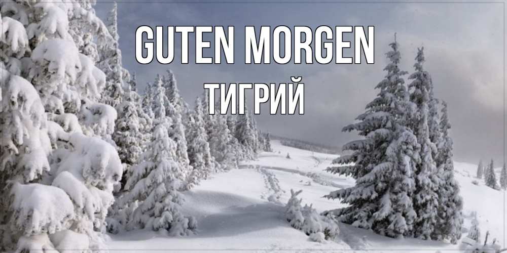 Открытка на каждый день с именем, Тигрий Guten Morgen пасмурное утро Прикольная открытка с пожеланием онлайн скачать бесплатно 