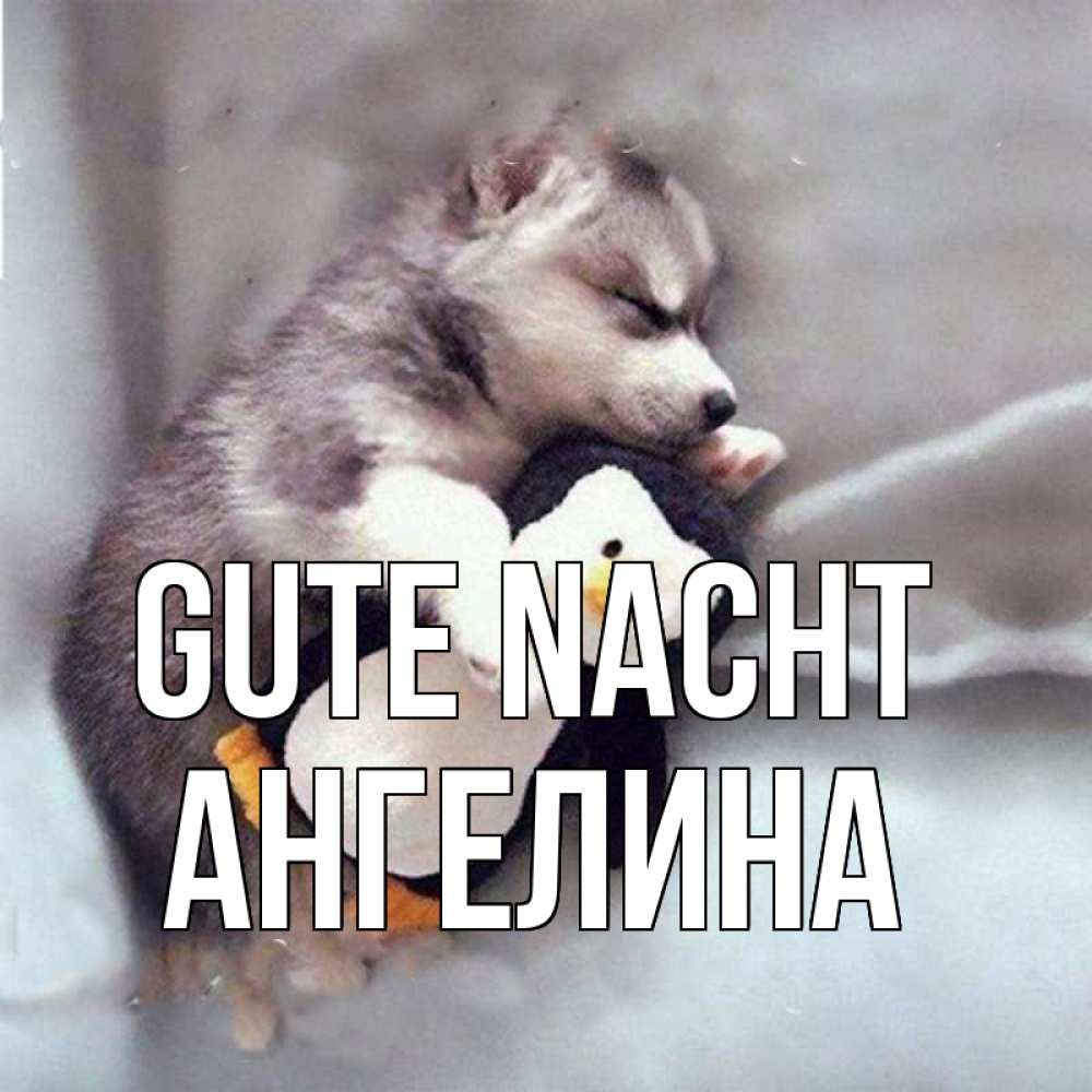 Открытка на каждый день с именем, Ангелина Gute Nacht обнимашки щенка и пингвина Прикольная открытка с пожеланием онлайн скачать бесплатно 