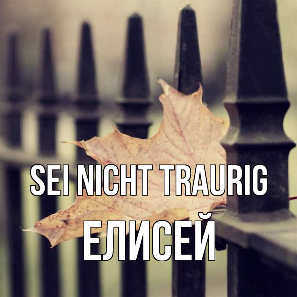 Открытка на каждый день с именем, Елисей Sei nicht traurig лист клена Прикольная открытка с пожеланием онлайн скачать бесплатно 
