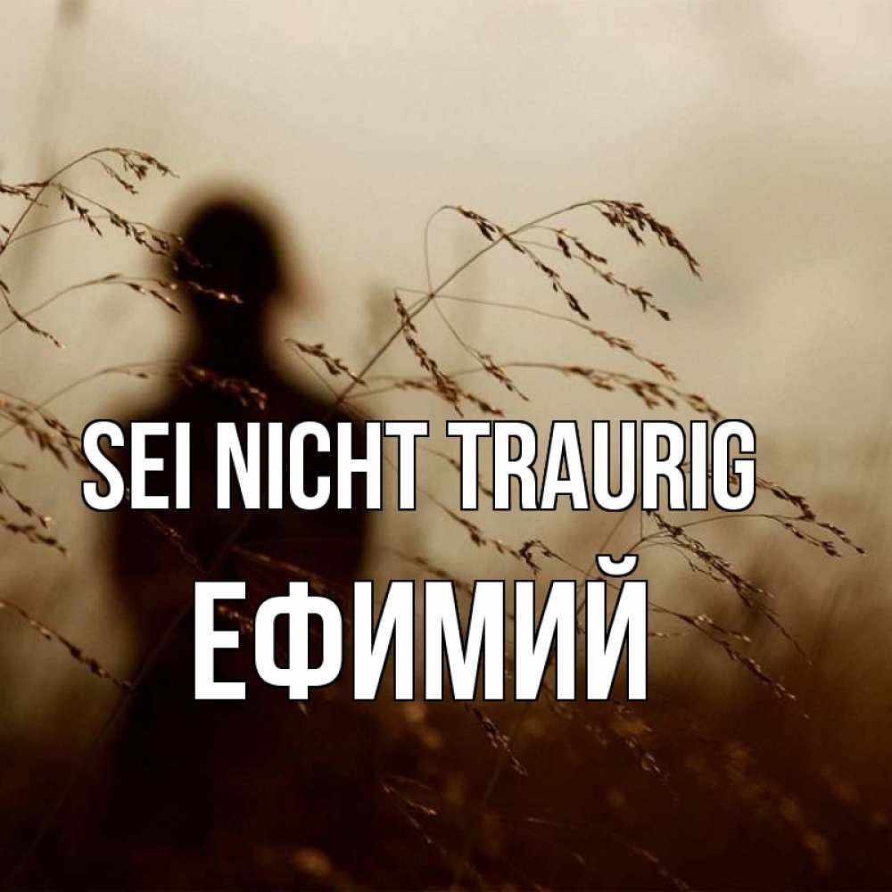 Открытка на каждый день с именем, Ефимий Sei nicht traurig грусть Прикольная открытка с пожеланием онлайн скачать бесплатно 