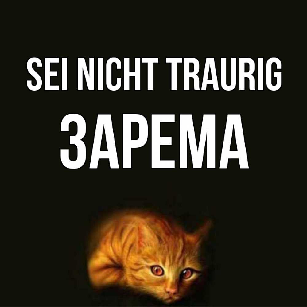 Открытка на каждый день с именем, Зарема Sei nicht traurig лежащий кот в темноте Прикольная открытка с пожеланием онлайн скачать бесплатно 
