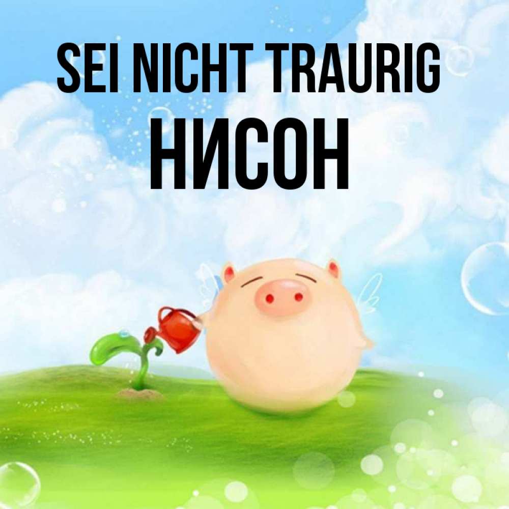 Открытка на каждый день с именем, Нисон Sei nicht traurig поливает цветок порося Прикольная открытка с пожеланием онлайн скачать бесплатно 