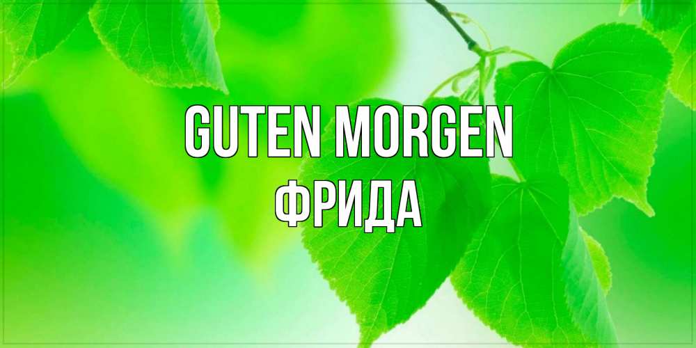 Открытка на каждый день с именем, Фрида Guten Morgen доброе утро с березовыми листьями Прикольная открытка с пожеланием онлайн скачать бесплатно 