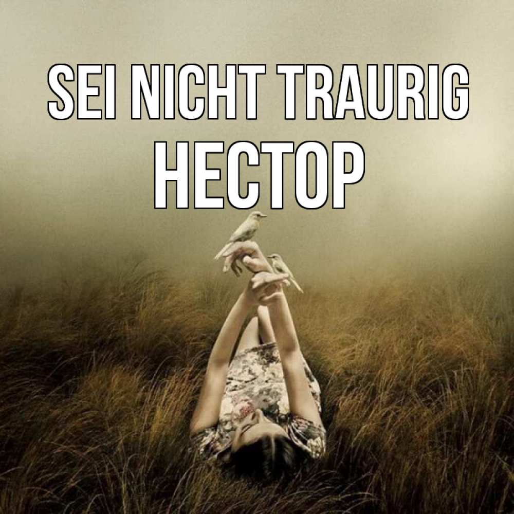 Открытка на каждый день с именем, Нестор Sei nicht traurig поле и туман Прикольная открытка с пожеланием онлайн скачать бесплатно 