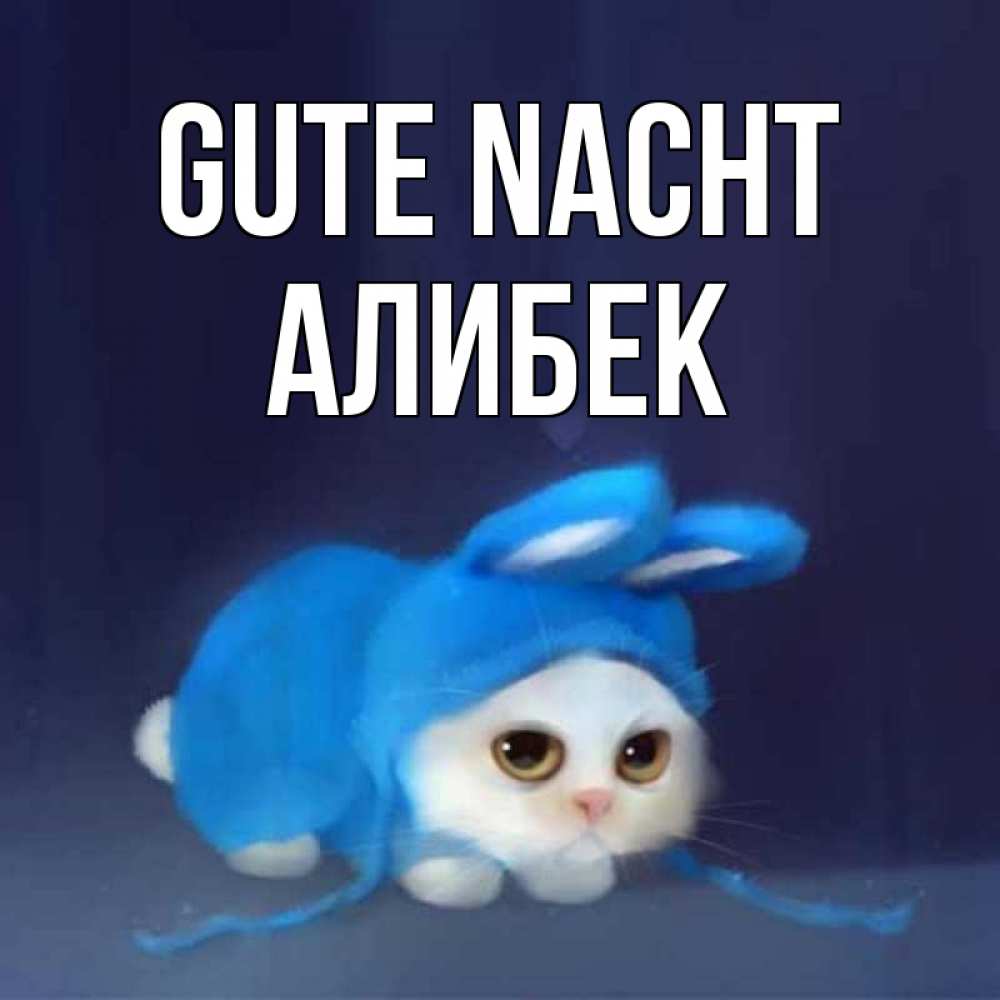 Открытка на каждый день с именем, Алибек Gute Nacht кот в голубом костюме кролика с ушками Прикольная открытка с пожеланием онлайн скачать бесплатно 