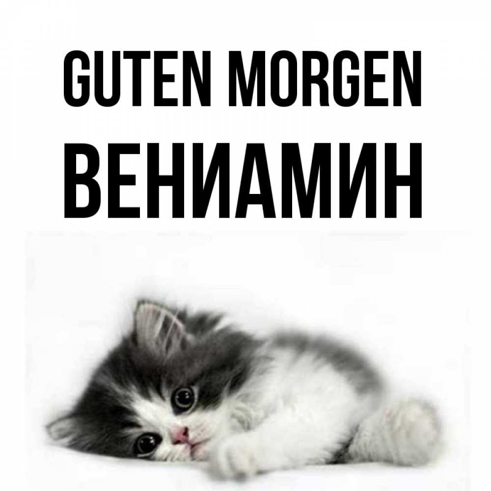 Открытка на каждый день с именем, Вениамин Guten Morgen кот лапки Прикольная открытка с пожеланием онлайн скачать бесплатно 