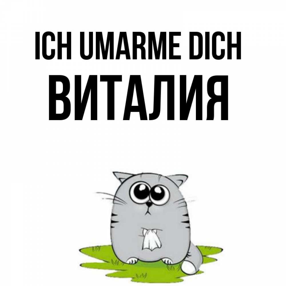 Открытка на каждый день с именем, Виталия Ich umarme dich котик теребит платочек сидя на травке Прикольная открытка с пожеланием онлайн скачать бесплатно 
