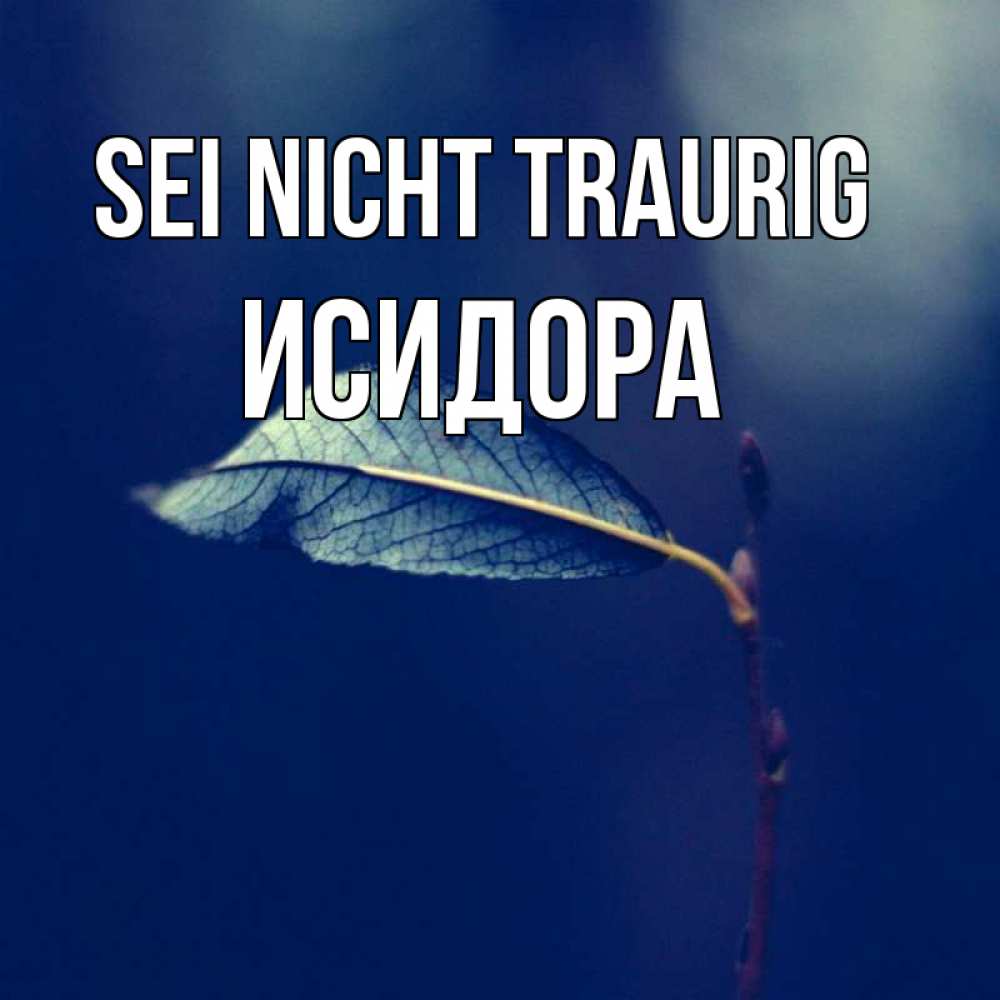 Открытка на каждый день с именем, Исидора Sei nicht traurig растение Прикольная открытка с пожеланием онлайн скачать бесплатно 