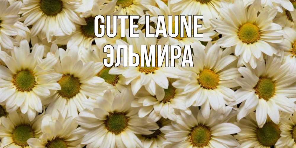 Открытка на каждый день с именем, Эльмира Gute Laune крупные ромашки Прикольная открытка с пожеланием онлайн скачать бесплатно 