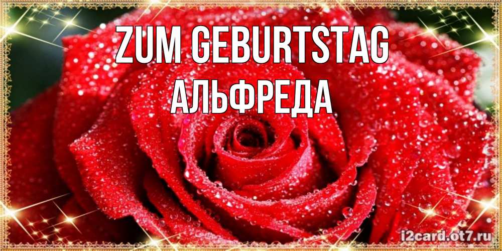 Открытка на каждый день с именем, Альфреда Zum Geburtstag роса и роза. открытка с красивой розой Прикольная открытка с пожеланием онлайн скачать бесплатно 