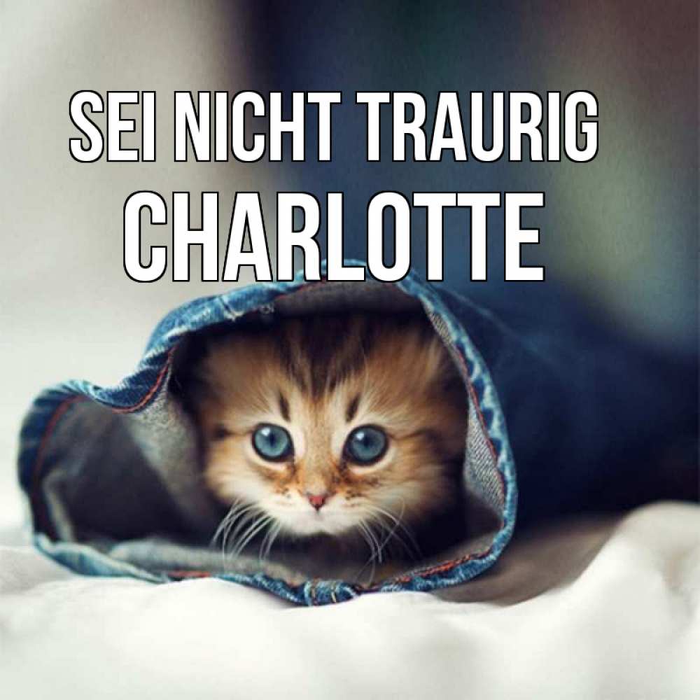 Открытка на каждый день с именем, Charlotte Sei nicht traurig рыжик котик Прикольная открытка с пожеланием онлайн скачать бесплатно 