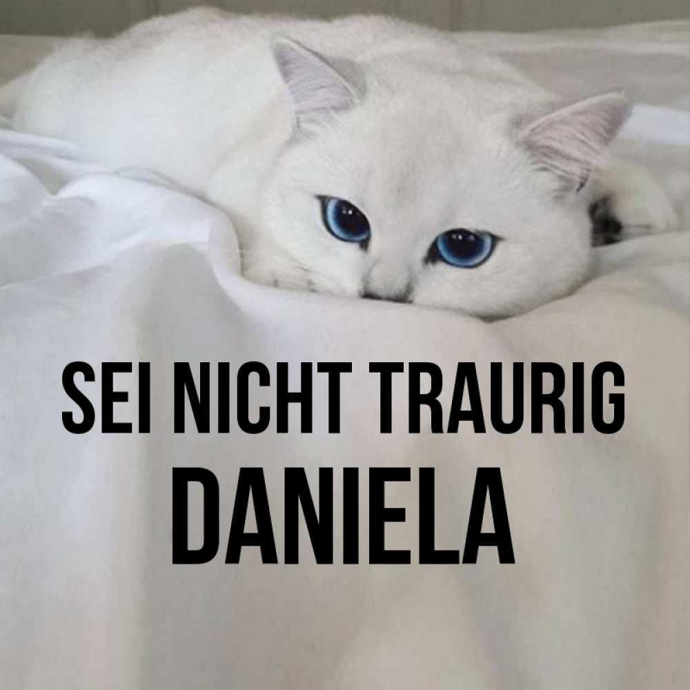 Открытка на каждый день с именем, Daniela Sei nicht traurig Голубоглазая кошка Прикольная открытка с пожеланием онлайн скачать бесплатно 