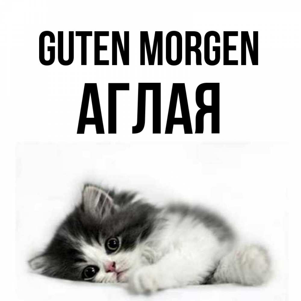 Открытка на каждый день с именем, Аглая Guten Morgen кот лапки Прикольная открытка с пожеланием онлайн скачать бесплатно 