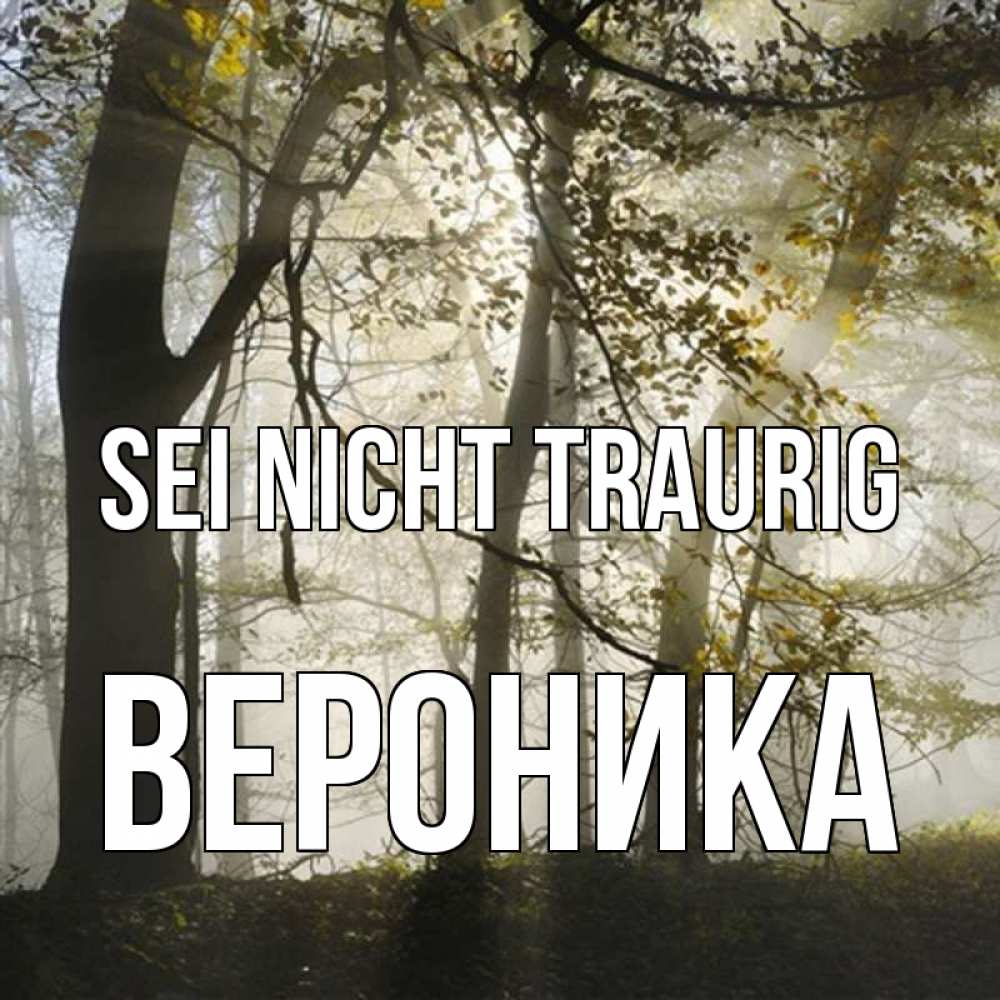 Открытка на каждый день с именем, Вероника Sei nicht traurig лес и свет Прикольная открытка с пожеланием онлайн скачать бесплатно 