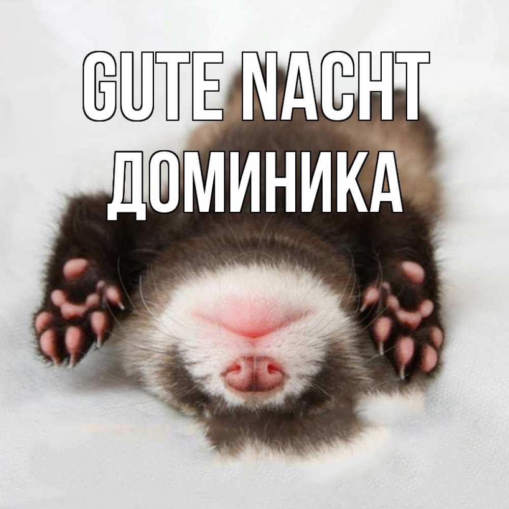 Открытка на каждый день с именем, Доминика Gute Nacht зверек Прикольная открытка с пожеланием онлайн скачать бесплатно 