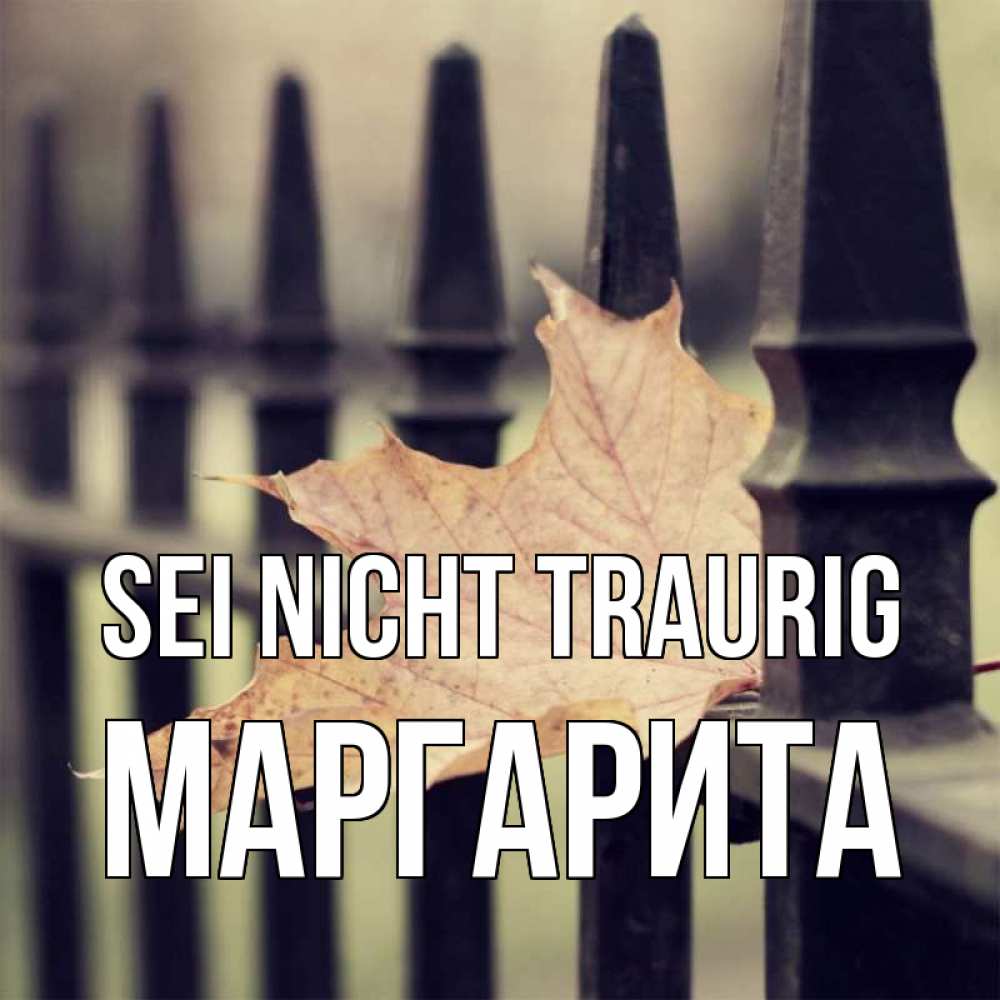 Открытка на каждый день с именем, Маргарита Sei nicht traurig лист клена Прикольная открытка с пожеланием онлайн скачать бесплатно 