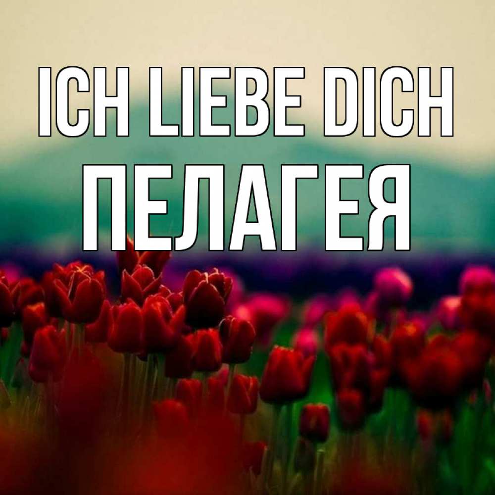Открытка на каждый день с именем, Пелагея Ich liebe dich тюльпаны 4 Прикольная открытка с пожеланием онлайн скачать бесплатно 
