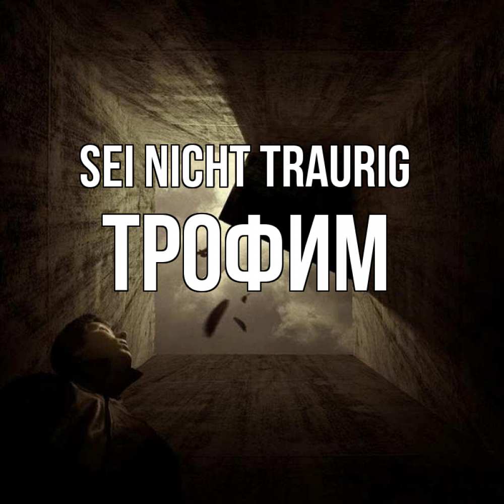 Открытка на каждый день с именем, Трофим Sei nicht traurig жуть Прикольная открытка с пожеланием онлайн скачать бесплатно 