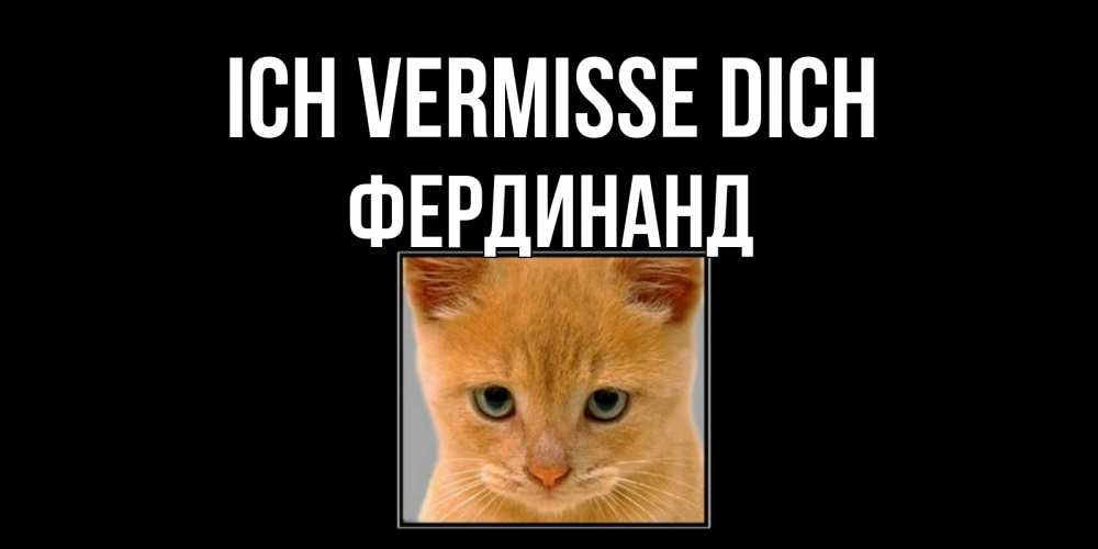 Открытка на каждый день с именем, Фердинанд Ich vermisse dich открытки рыжий котенок скучает по тебе Прикольная открытка с пожеланием онлайн скачать бесплатно 