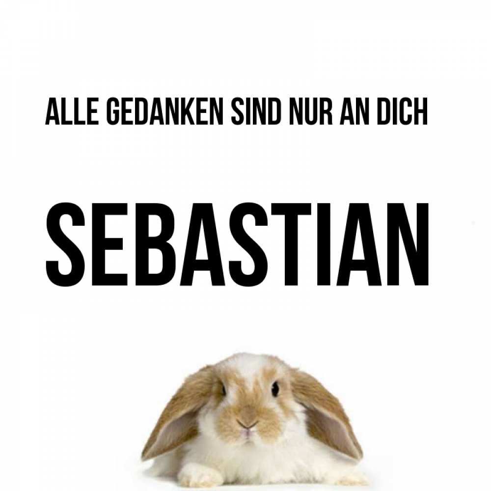 Открытка на каждый день с именем, Sebastian Alle Gedanken sind nur an dich подписать своими руками онлайн Прикольная открытка с пожеланием онлайн скачать бесплатно 