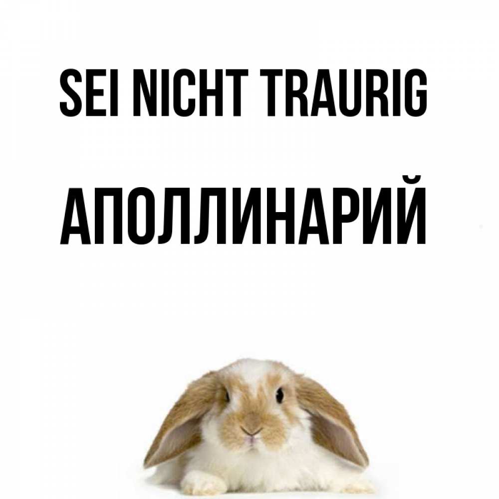 Открытка на каждый день с именем, Аполлинарий Sei nicht traurig коричнево белый заяц с большими ушками Прикольная открытка с пожеланием онлайн скачать бесплатно 