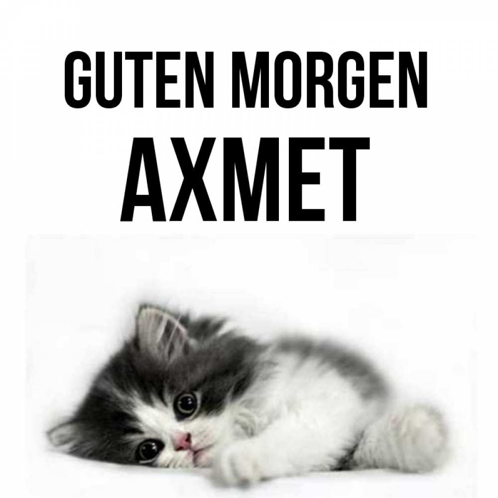 Открытка на каждый день с именем, Ахмет Guten Morgen кот лапки Прикольная открытка с пожеланием онлайн скачать бесплатно 