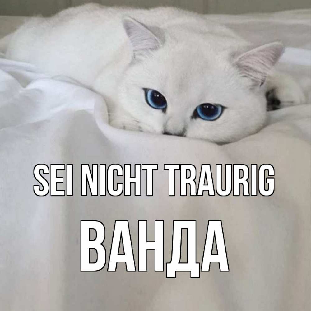 Открытка на каждый день с именем, Ванда Sei nicht traurig белый кот с голубыми глазами на белоснежной кровати Прикольная открытка с пожеланием онлайн скачать бесплатно 