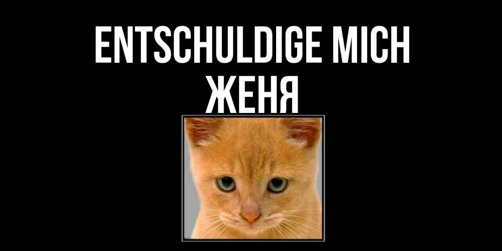 Открытка на каждый день с именем, Женя Entschuldige mich рыжий грустный кот просит прощения Прикольная открытка с пожеланием онлайн скачать бесплатно 