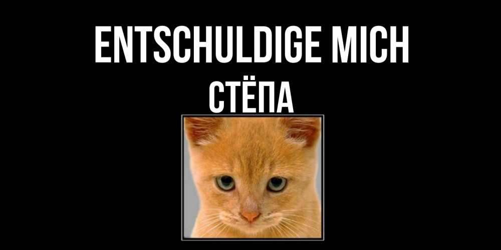 Открытка на каждый день с именем, Стёпа Entschuldige mich рыжий грустный кот просит прощения Прикольная открытка с пожеланием онлайн скачать бесплатно 