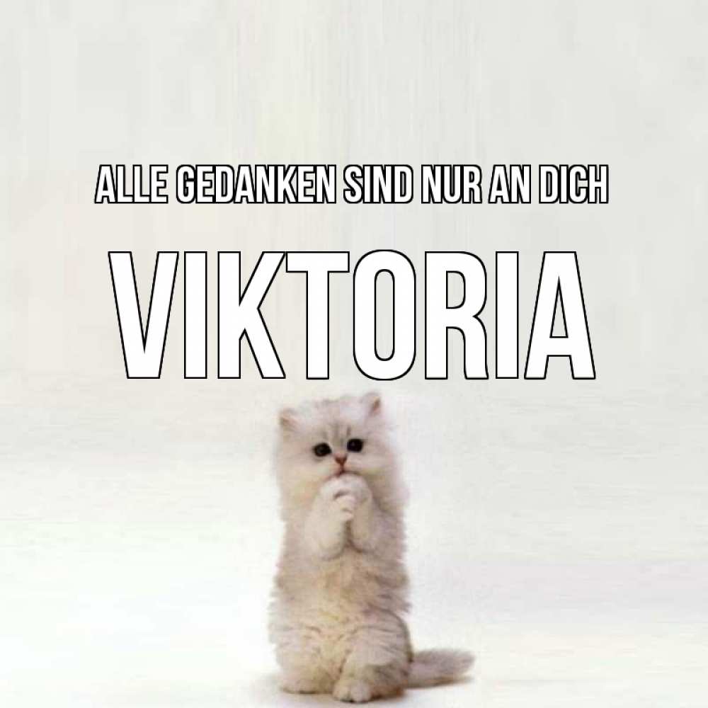 Открытка на каждый день с именем, Viktoria Alle Gedanken sind nur an dich кот стоит на задних лапах Прикольная открытка с пожеланием онлайн скачать бесплатно 