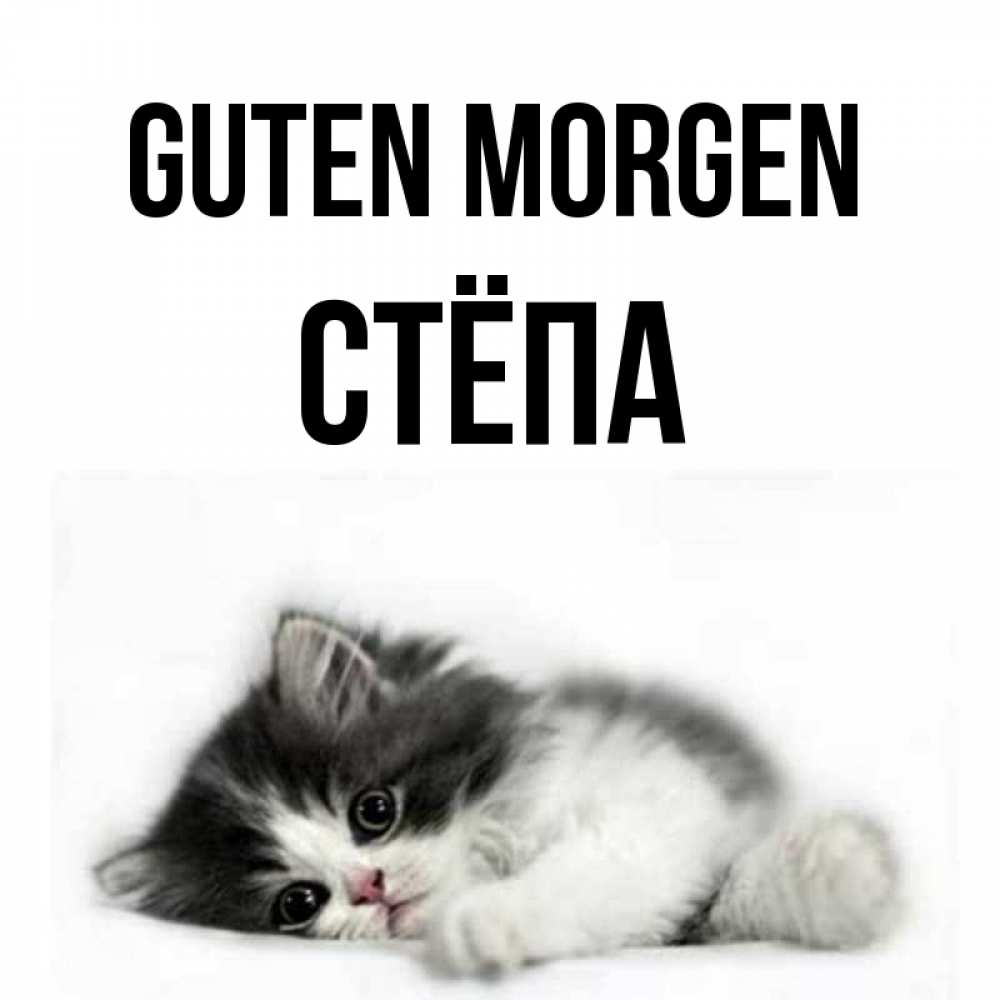 Открытка на каждый день с именем, Стёпа Guten Morgen кот лапки Прикольная открытка с пожеланием онлайн скачать бесплатно 