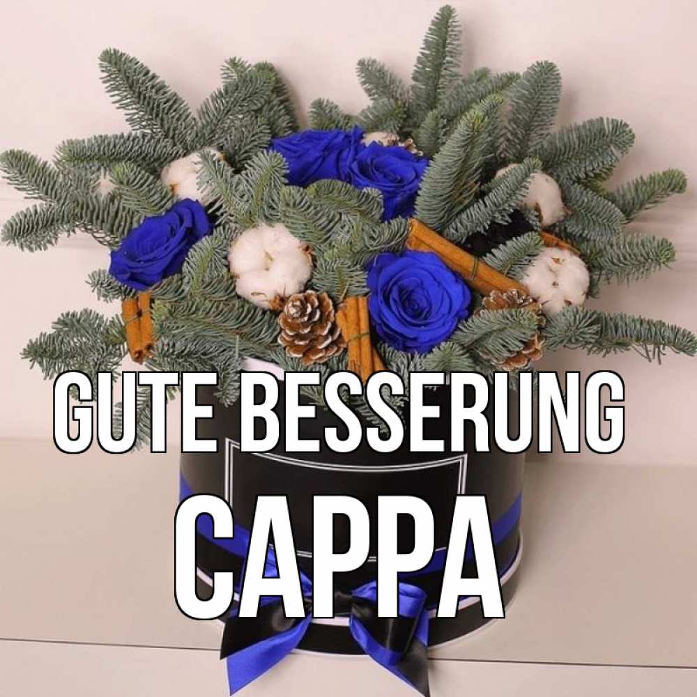 Открытка на каждый день с именем, Сарра Gute Besserung короче кто то загрузил эти шишки Прикольная открытка с пожеланием онлайн скачать бесплатно 