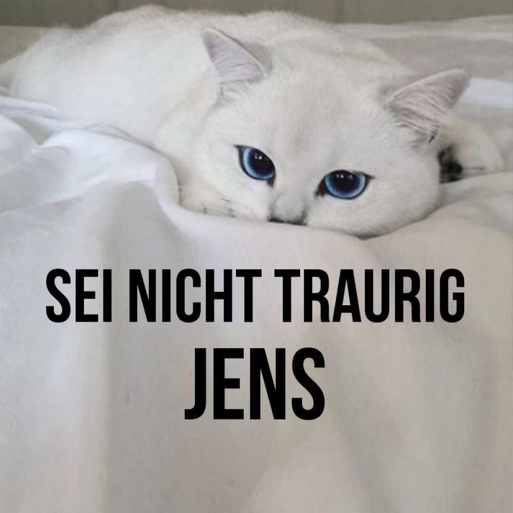 Открытка на каждый день с именем, Jens Sei nicht traurig Голубоглазая кошка Прикольная открытка с пожеланием онлайн скачать бесплатно 