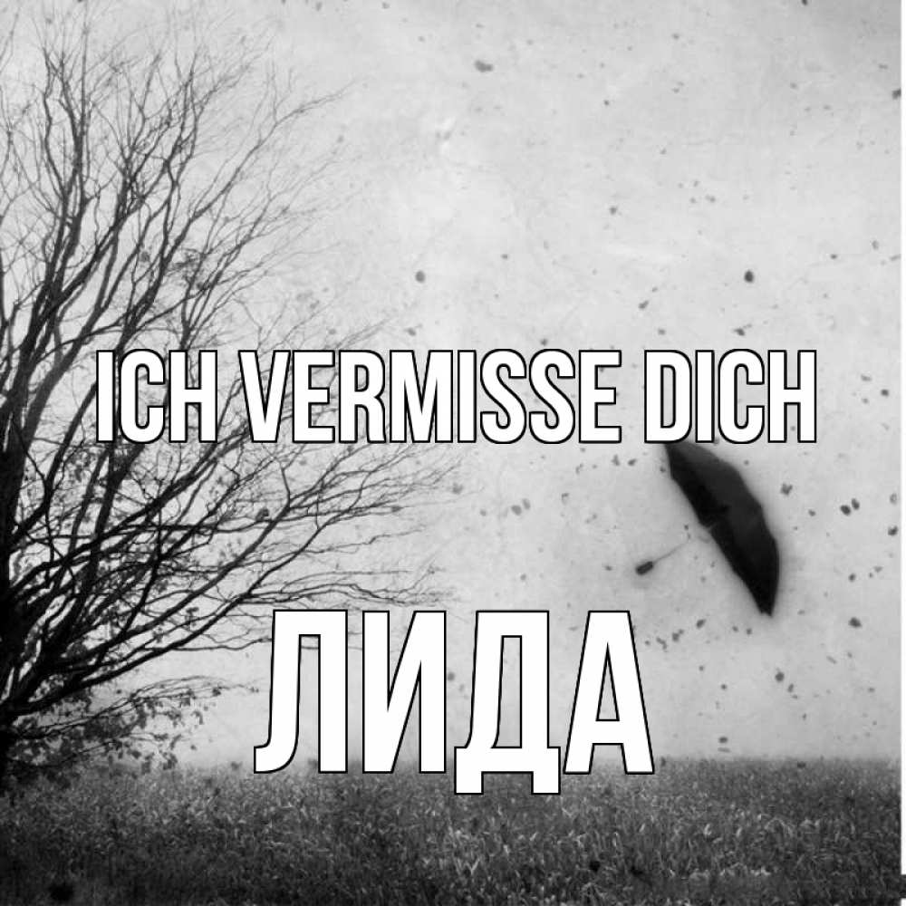 Открытка на каждый день с именем, Лида Ich vermisse dich зонт летит Прикольная открытка с пожеланием онлайн скачать бесплатно 