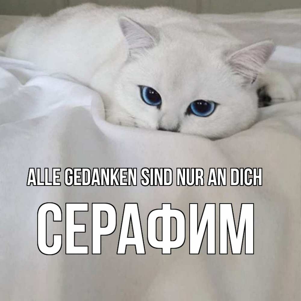 Открытка на каждый день с именем, Серафим Alle Gedanken sind nur an dich я очень по тебе скучаю и тоскую Прикольная открытка с пожеланием онлайн скачать бесплатно 