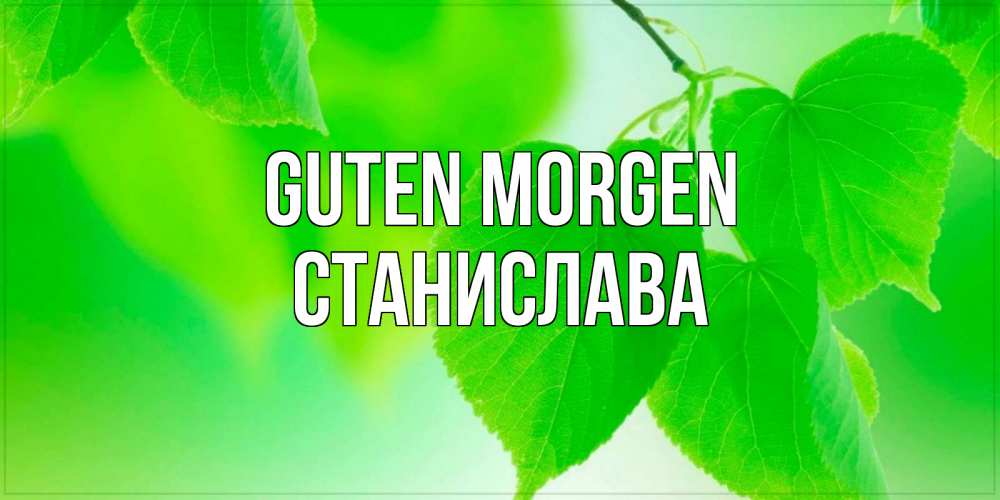 Открытка на каждый день с именем, Станислава Guten Morgen доброе утро с березовыми листьями Прикольная открытка с пожеланием онлайн скачать бесплатно 