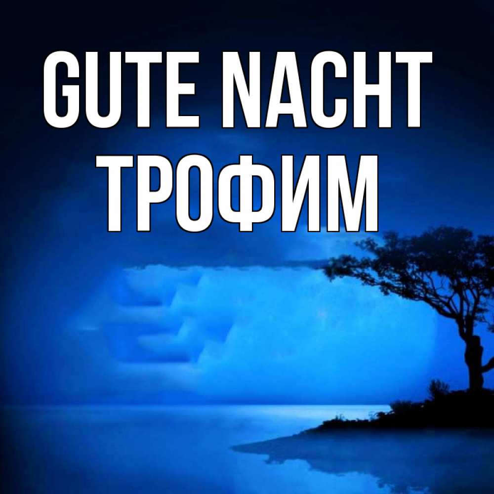 Открытка на каждый день с именем, Трофим Gute Nacht ночное побережье Прикольная открытка с пожеланием онлайн скачать бесплатно 