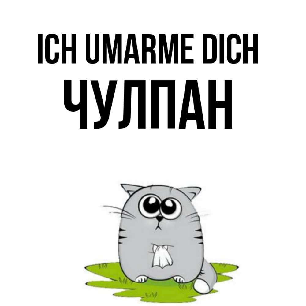 Открытка на каждый день с именем, Чулпан Ich umarme dich котик теребит платочек сидя на травке Прикольная открытка с пожеланием онлайн скачать бесплатно 