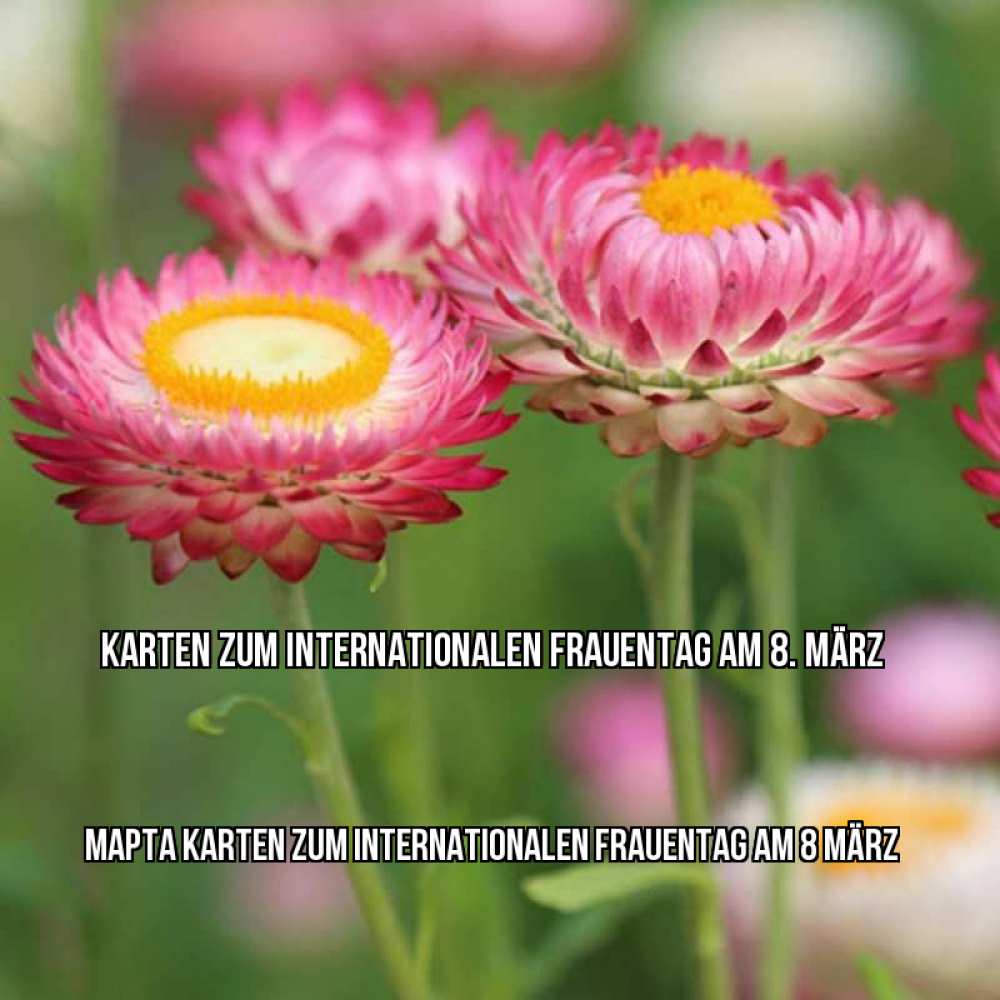 Картинка Karten zum Internationalen Frauentag am 8. März, Марта