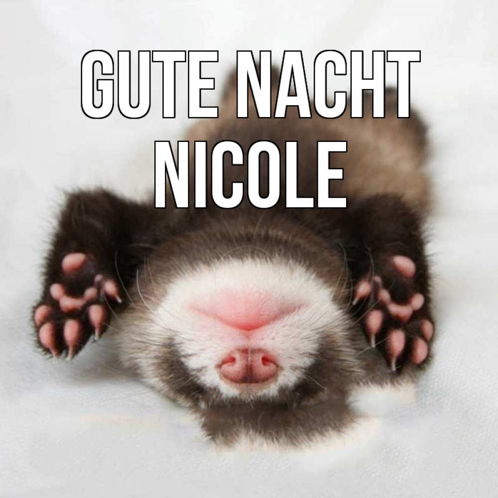 Открытка на каждый день с именем, Nicole Gute Nacht зверек Прикольная открытка с пожеланием онлайн скачать бесплатно 