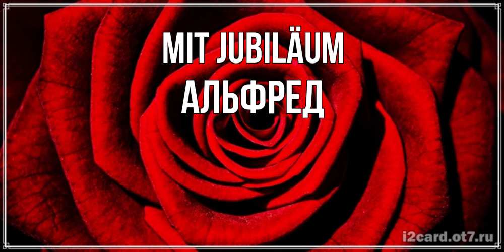 Открытка на каждый день с именем, Альфред Mit Jubiläum алая роза Прикольная открытка с пожеланием онлайн скачать бесплатно 