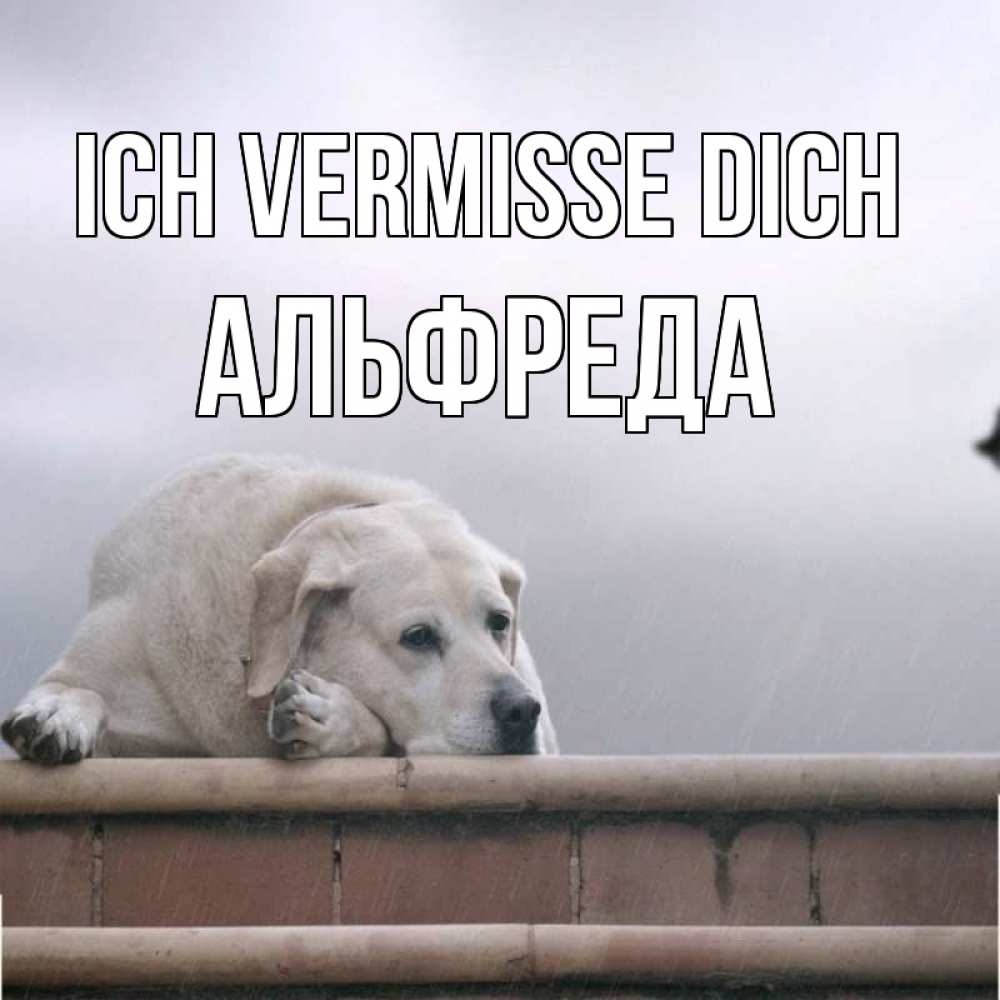Открытка на каждый день с именем, Альфреда Ich vermisse dich ждет Прикольная открытка с пожеланием онлайн скачать бесплатно 