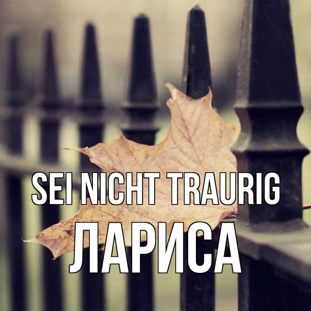 Открытка на каждый день с именем, Лариса Sei nicht traurig лист клена Прикольная открытка с пожеланием онлайн скачать бесплатно 