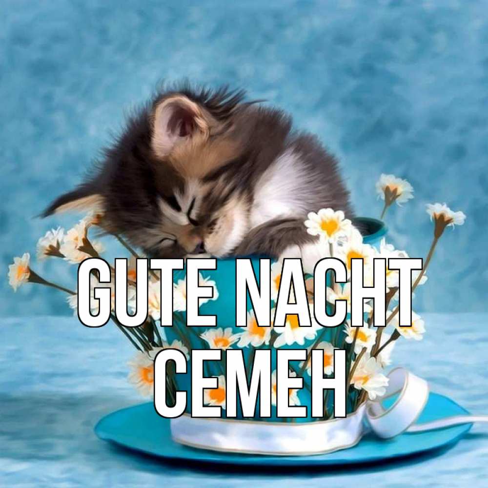 Открытка на каждый день с именем, Семен Gute Nacht котенок спит в кружке с блюдцем Прикольная открытка с пожеланием онлайн скачать бесплатно 