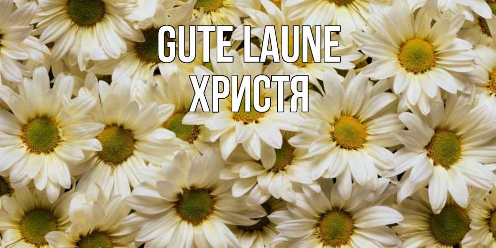 Открытка на каждый день с именем, Христя Gute Laune крупные ромашки Прикольная открытка с пожеланием онлайн скачать бесплатно 
