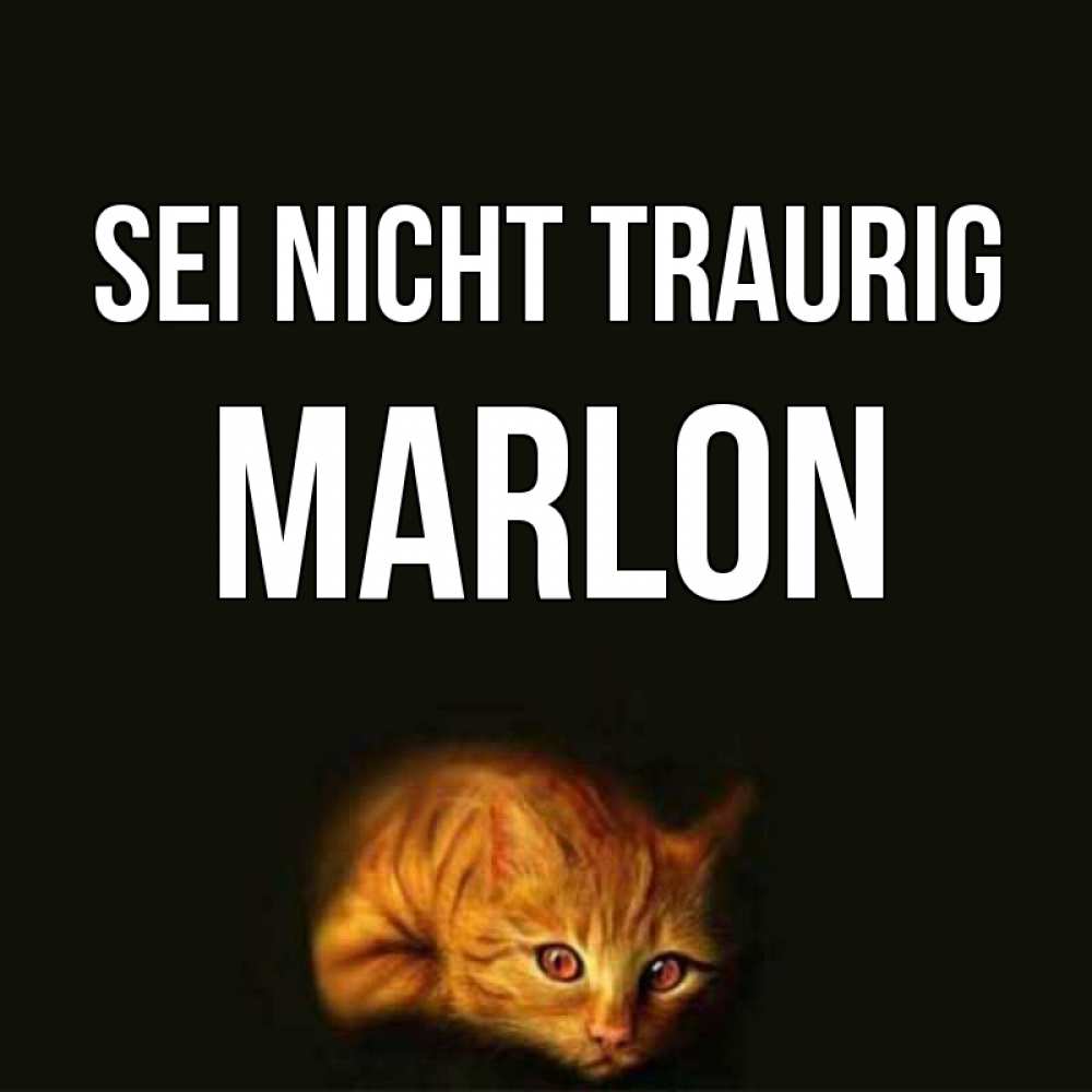 Открытка на каждый день с именем, Marlon Sei nicht traurig лежащий кот в темноте Прикольная открытка с пожеланием онлайн скачать бесплатно 