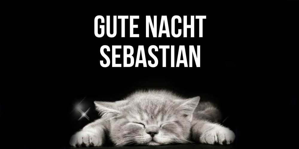 Открытка на каждый день с именем, Sebastian Gute Nacht спящий котик Прикольная открытка с пожеланием онлайн скачать бесплатно 